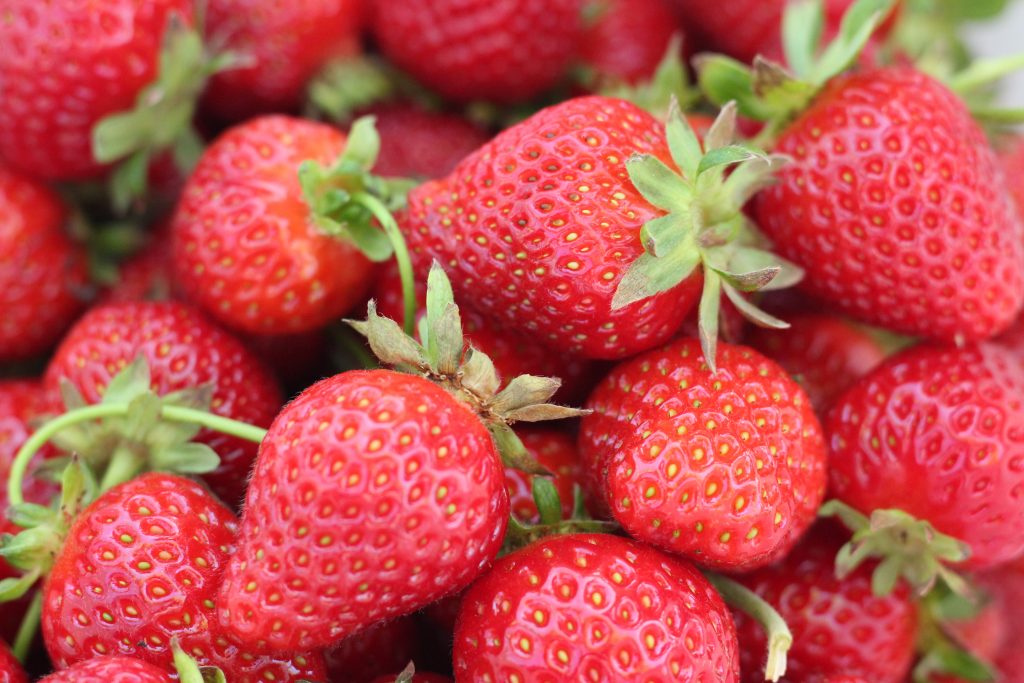 Strawberries PostHarvest Renovation or Rotation? Wisconsin Fruit