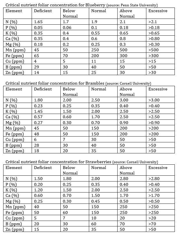 Leaf tissue analysis for berry crops- Now is the time – Wisconsin Fruit