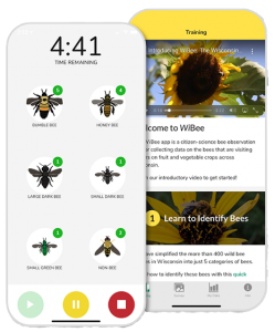 The New Wibee App Tracks Wild Bee Pollinators On Your Farm Wisconsin