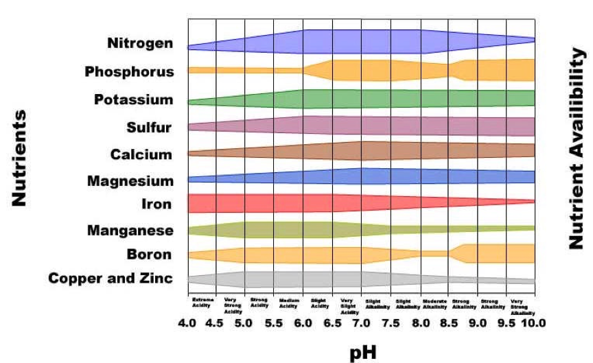 Adjusting Soil pH for Cranberry Production – Wisconsin Fruit