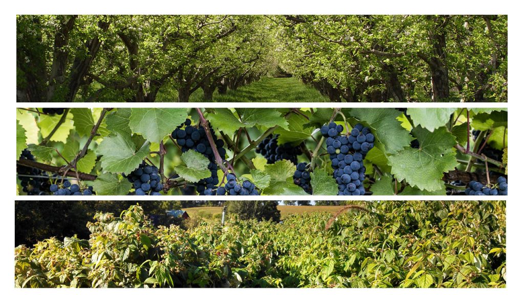 Fall Nutrient Application Wisconsin Fruit