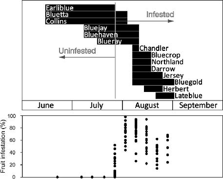 Raspberry Varieties and Their Infestation by Drosophila suzukii ...