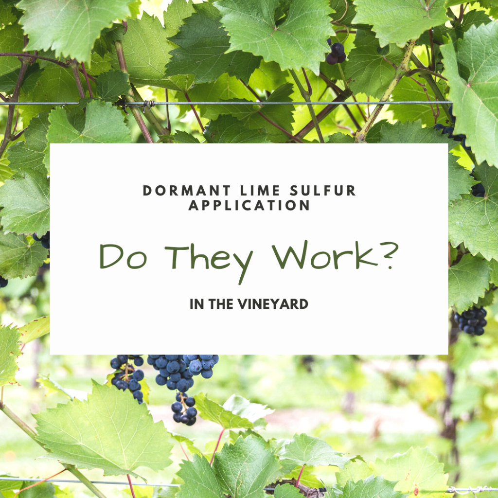 Dormant Lime Sulfur Applications in the Vineyard Do They Work