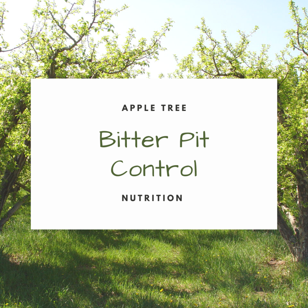 Apple Tree Nutrition: Bitter Pit Control – Wisconsin Fruit